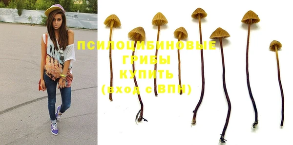 кристаллы Белокуриха